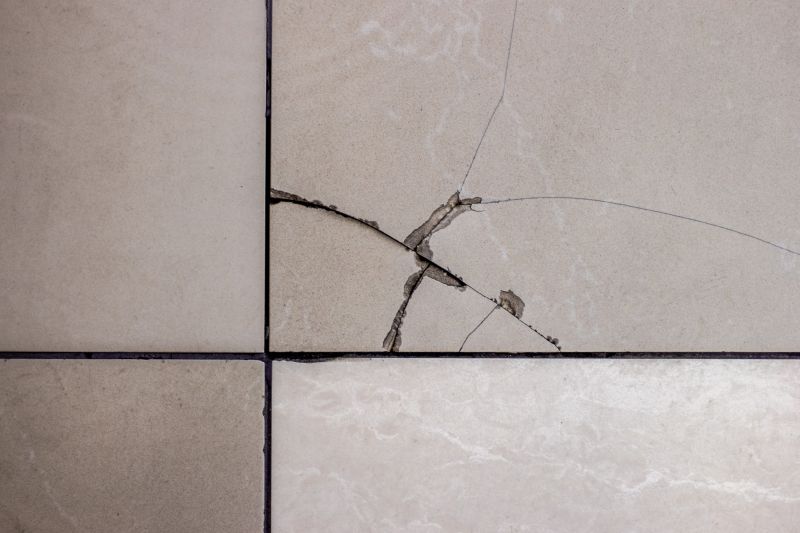 Tile Repair & Renovation
